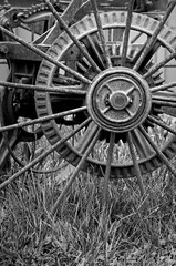 Iron wheel detail of 1890's farm machinery.