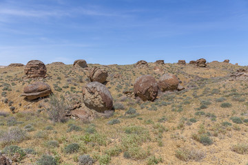 Fototapeta na wymiar Round rocks in Ustyurt Plateau, Mangystau Region, the southwestern Kazakhstan. It used to be the bottom of the sea called Tethys sea. selective focus