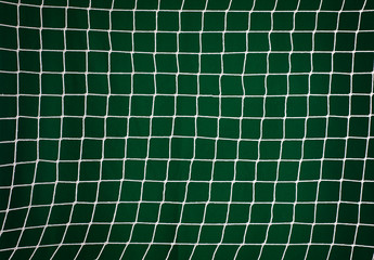 soccer net on green background