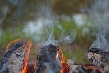 bonfire wood fire flame sparks