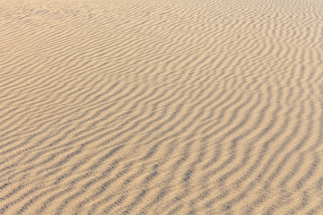 Sand Texture. Background from fine sand. Sand background. selective focus