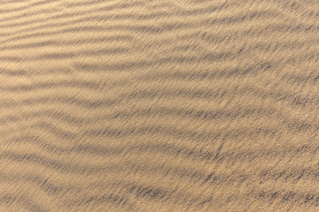 Sand Texture. Background from fine sand. Sand background. selective focus