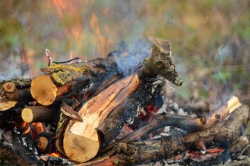 bonfire wood fire flame sparks