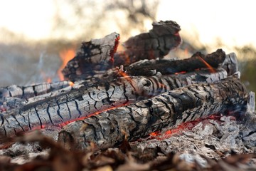 bonfire wood fire flame sparks