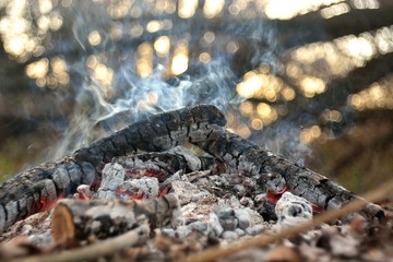 bonfire wood fire flame sparks