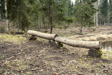 resting camping place in the woods with benches and trail in late autumn