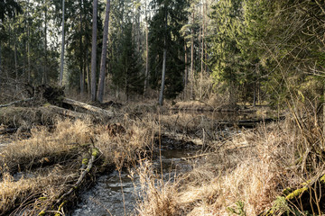 dirty waterfall on a small river in forest