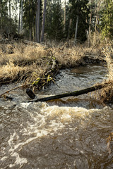 dirty waterfall on a small river in forest