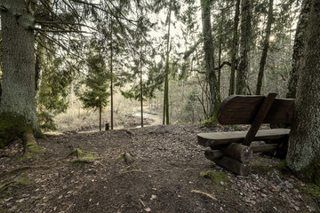 resting camping place in the woods with benches and trail in late autumn