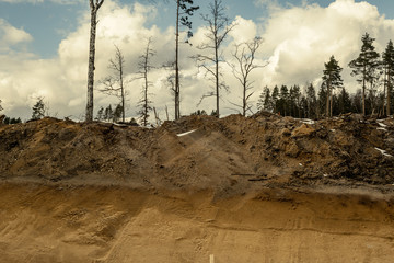 construction site of new road in forest