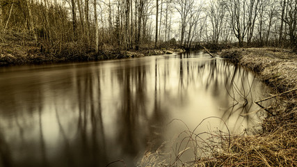 Scenic view of forest river Mergupe in Latvia in winter with no snow