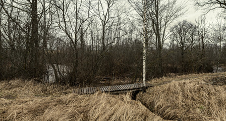 resting camping place in the woods with benches and trail in late autumn