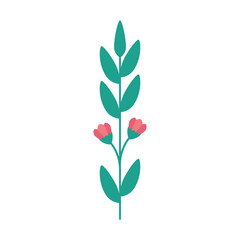 branch with leafs natural isolated icon vector illustration design