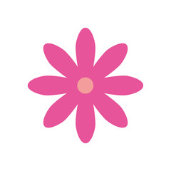 cute flower pink color isolated icon vector illustration design