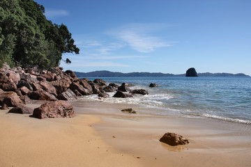 Coromandel, New Zealand