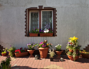 Garden in Biala Podlaska. Poland