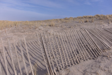 landscapes of The Hague Netherlands