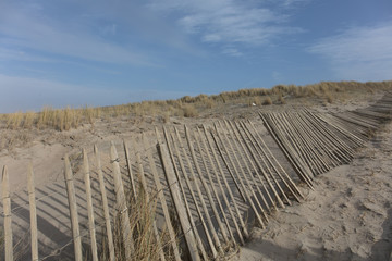 landscapes of The Hague Netherlands