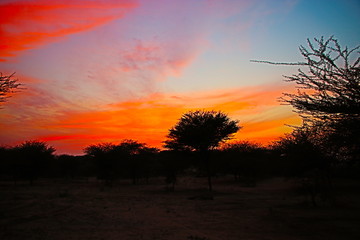 sunset over field with trees and blue sky