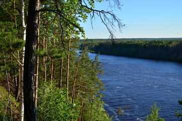 lake in the forest