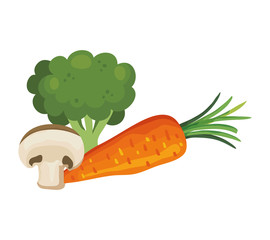 fresh broccoli with vegetables isolated icons vector illustration design