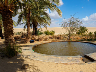 sand dunes in the desert in siwa
