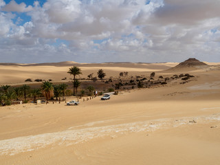 Fototapeta na wymiar siwa oasis in the desert