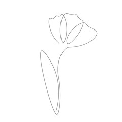 Flower drawing on white background