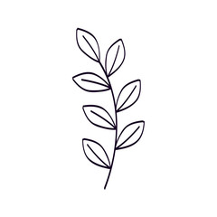 branch with leafs natural line style vector illustration design