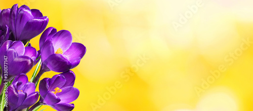 Wide Angle floral template for design greeting card