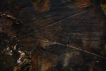 Background texture of cut wood