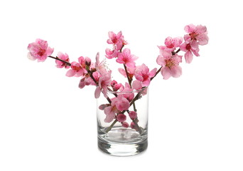 Naklejka na ściany i meble Spring flowers in glass isolated on white, with clipping path