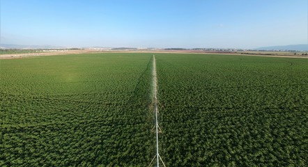 Center pivot irrigation and Circular agriculture  perfectly circular fields, as seen in this image.