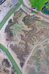 Aerial view of the marshes in the Oyambre Natural Park, San Vicente de la Barquera, Cantabrian Sea, Cantabria, Spain, Europe