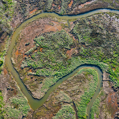 Marisma del Capitan at low tide, Parque Natural de Oyambre, San Vicente de la Barquera, Cantabrian Sea, Cantabria, Spain, Europe