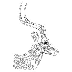 Hand drawn antelope. Sketch for anti-stress adult coloring book in zentangle style. Vector illustration for coloring page, isolated on white background. Template for poster, t-shirt, cover or tattoo.