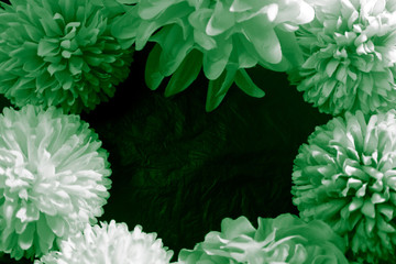 Beautiful abstract color white and green flowers on black background and light black and dark flower frame and green leaves texture, dark background, green banner happy 