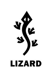 Astrology Alphabet: LIZARD (Lacerta) — Little modern Astronomical constellation (was created by Johannes Hevelius in 1687 and used in «Uranographia» since 1690). Hieroglyphic character sign (symbol).