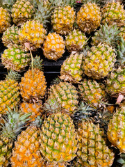 Beautiful a lot of fresh pineapple background and fresh fruit