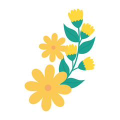 cute flowers yellow with branch and leafs vector illustration design