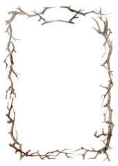 Watercolor frame from branches, twigs or vines with space for text and tittle isolated on white background.