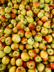 lots of ripe delicious sweet apples to eat like a background