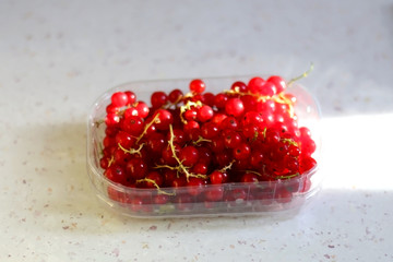 Bowl of red currants on a kitchen counter. Selective focus.