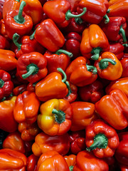 lots of ripe delicious Bulgarian peppers for eating a background