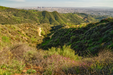 Griffith Park hiking trail and spectacular view of downtown Los Angeles from Hollywood Hills