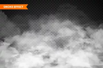 Foto op Plexiglas  Realistic fog, mist effect. Smoke isolated on transparent background. Vector vapor in air, steam flow. Clouds. © 32 pixels