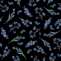 Fototapeta na wymiar Floral seamless pattern with berries on a black background, for decoration, for fabric and paper production.
