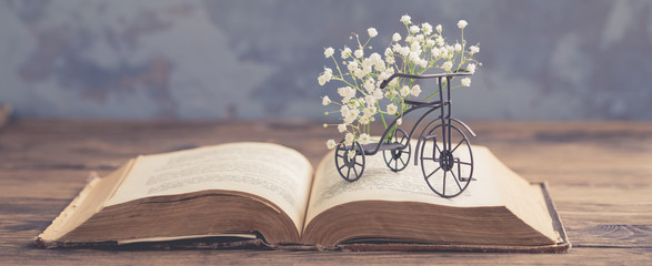 Old opened book, heart shaped paper sheets, iron bicycle with flowers on wooden background toned...
