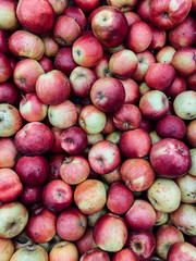 lots of ripe delicious sweet apples to eat like a background