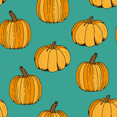 Pumpkin color vector seamless pattern, hand drawn squash sketch isolated on green background